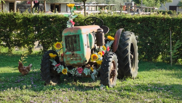 Boerderij